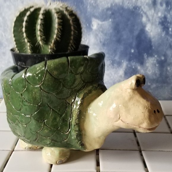Turtle Planter with Barrel Cactus and Gift Card - Picture 2 of 7
